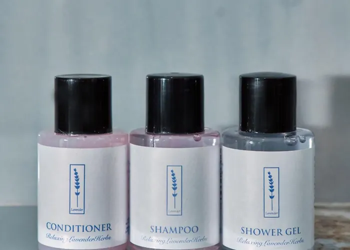 Ξενοδοχείο Montflux